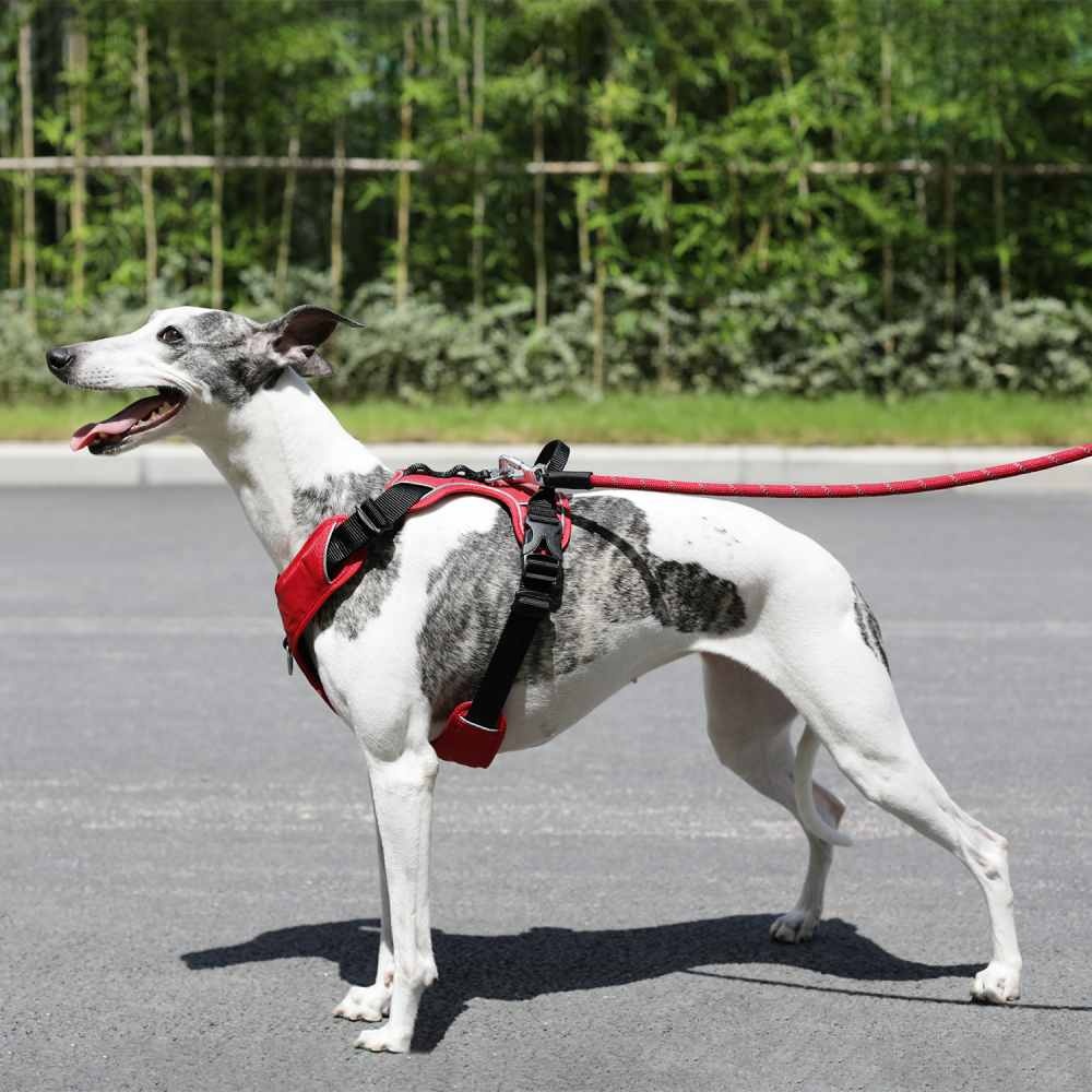 0002142_5415251051476_2-1