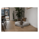 0008925_5415251028195_2