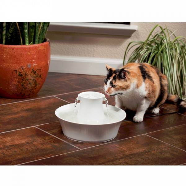 005-drinkwell-avalon-pet-fountain-600x600