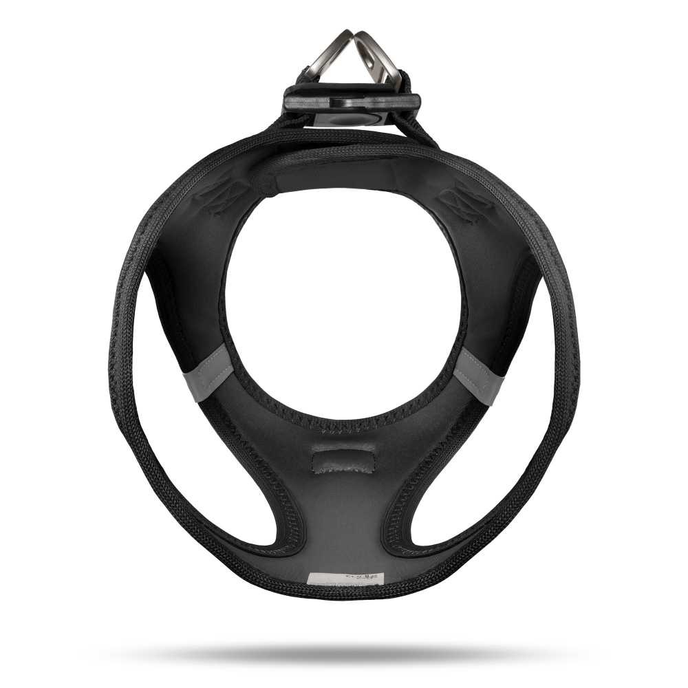 0101-0202-1-950_BACK_01_Vest-Harness-Air-Mesh-Black_Adobe_RGB_240PPI_2000x2000