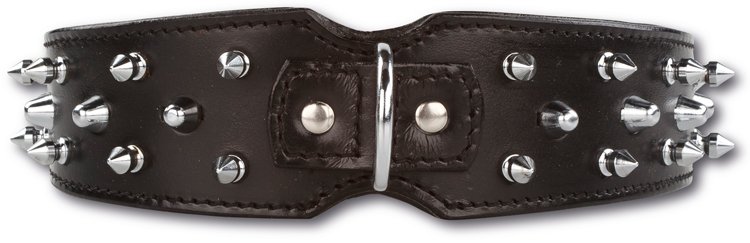 01saspblsi45_main_750px