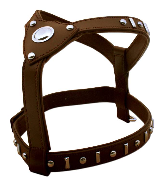 03k9knbrsi_main_750px