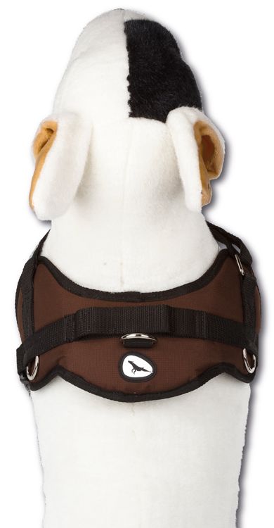 03suhachbr_topview_01_750px