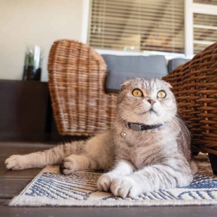 0ac3eabecc0cbcb6178ec863f863351af61a0573