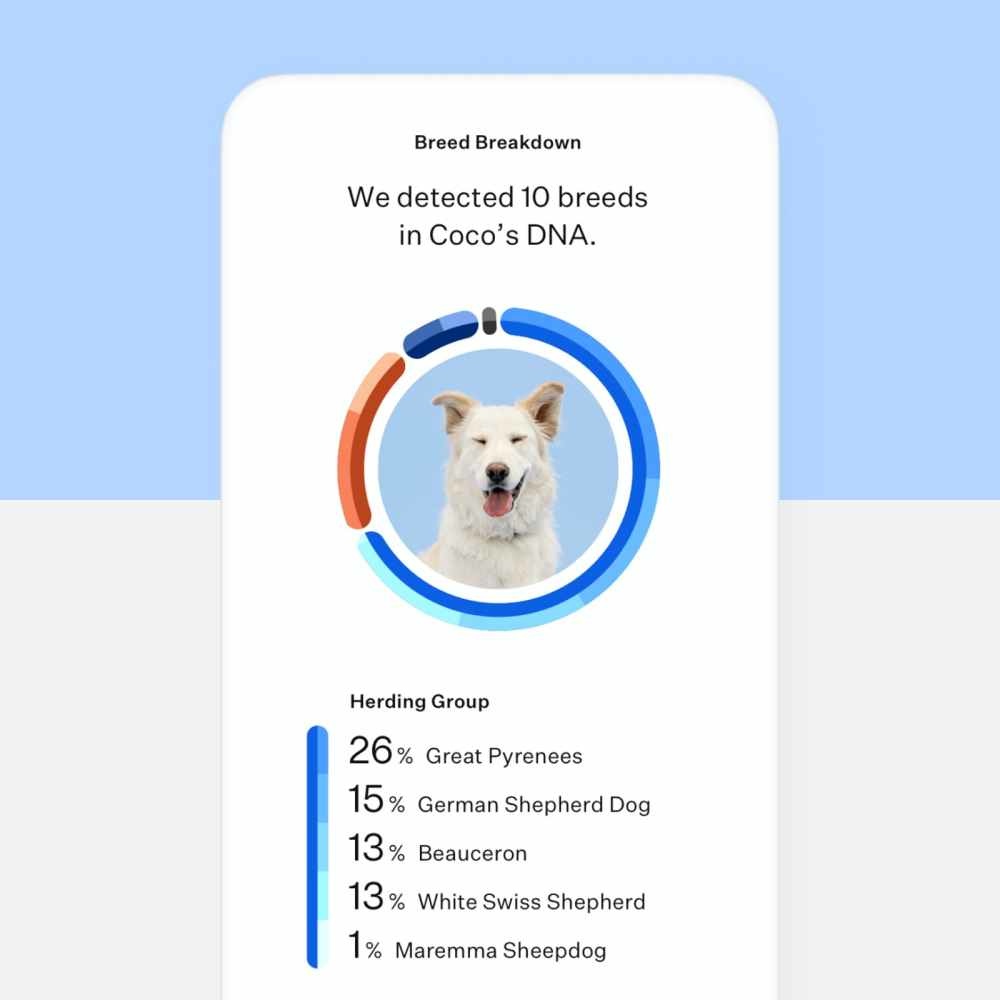 102add48-a048-45b9-be8f-8ef467d07087_essential-slide-2@2x