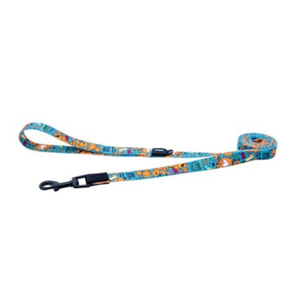 12733-Rogz_Fusion_dog_lead_140cm_Medium___Electric_Turquoise (1)