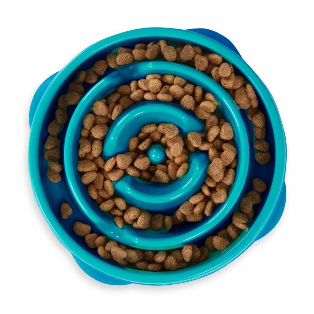 1337_source_1695307621