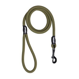 1_3808_-_RB_Basic_Leash_Green_-_1