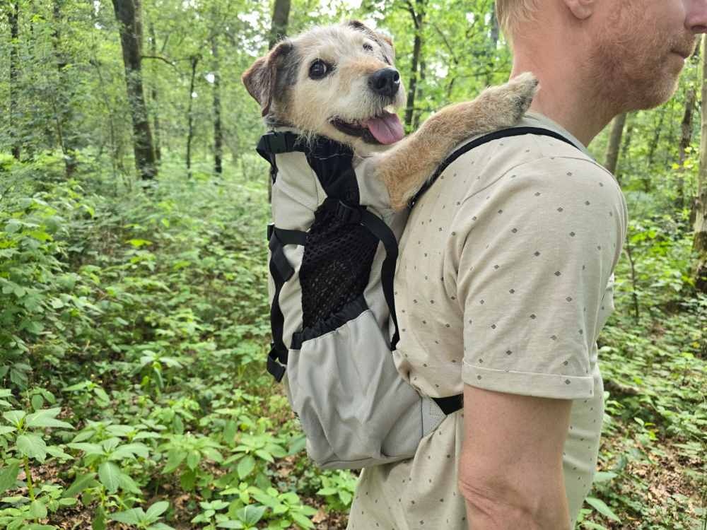 1c3ea1ab-ed10-47fb-bd7d-2d0bfbdf7b2d