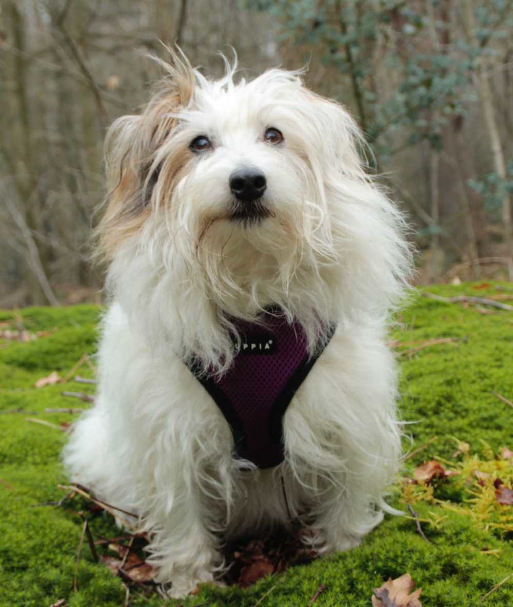 1ste paasdag (1 april 2018) 031