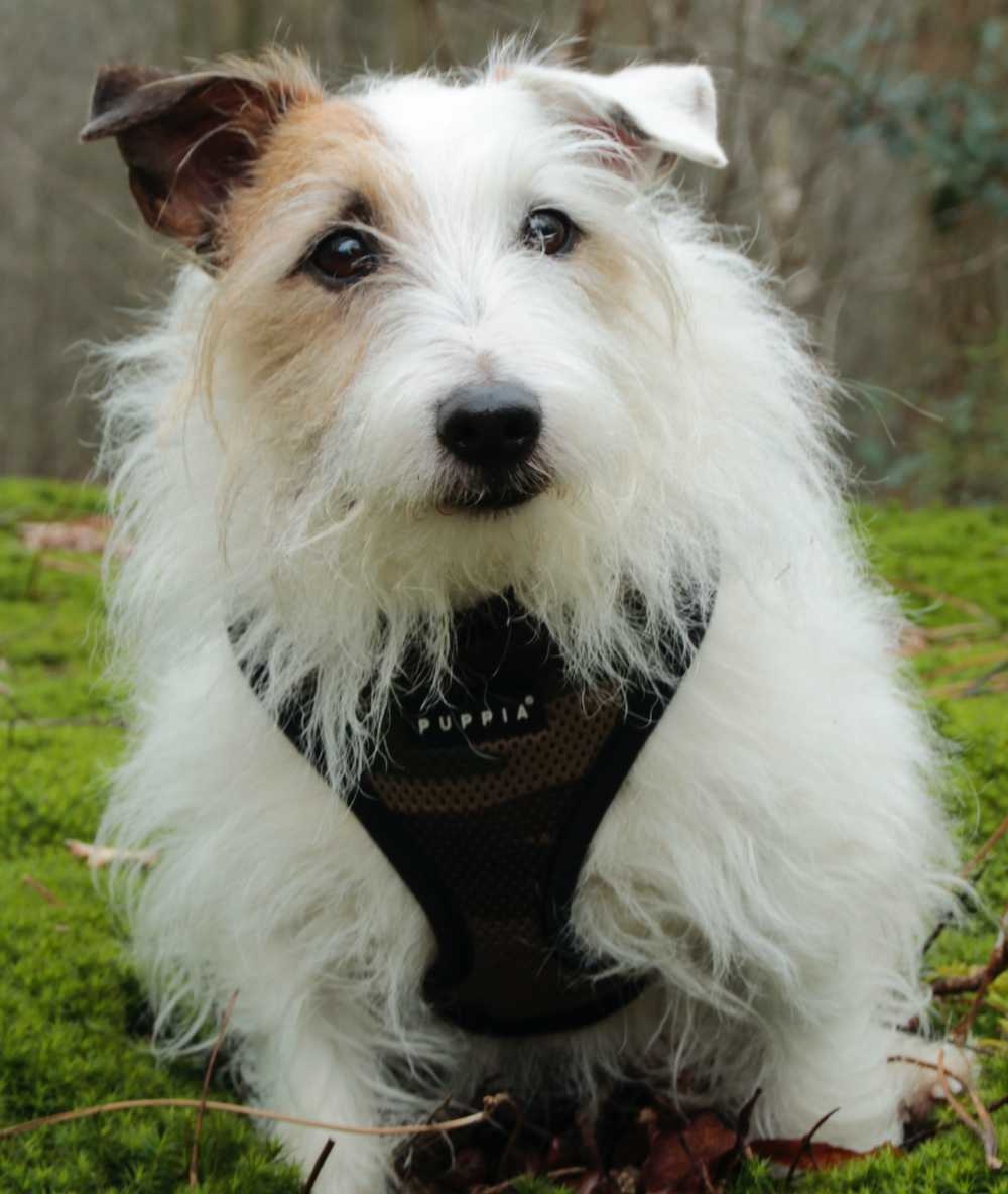 1ste paasdag (1 april 2018) 040