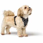 201747_001_image_23 (1)