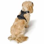 201747_003_image_23_1920x1920