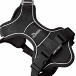 201747_004_23_1920x1920