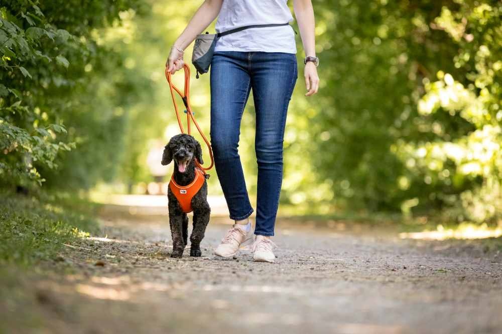 20200510_curli_Photoshoot-327