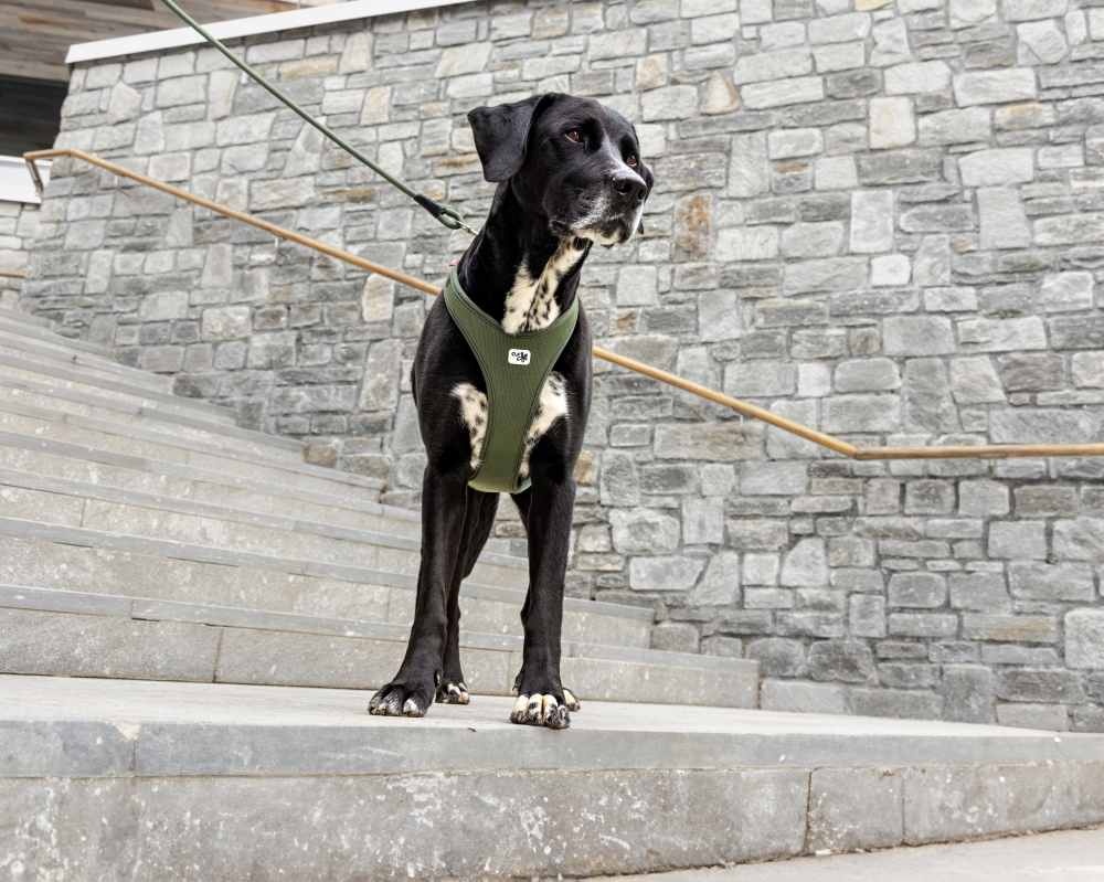 20240407_curli_photoshoot-186-02