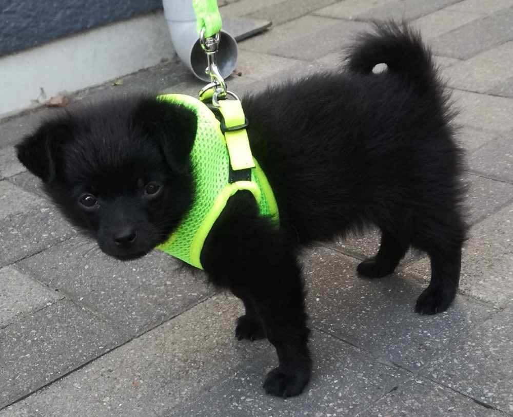 219985223_4877568095603014_5548760674723259813_n