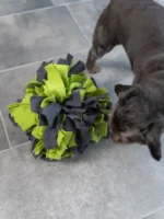 25112_Schnueffelball_grün_25cm_05_1600x1600