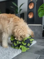 25112_Schnueffelball_grün_25cm_07_1600x1600