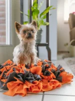 25115_Schnueffelteppich_orange_48x48cm_07_1600x1600