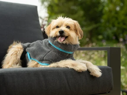 25833_Dampfhund_Gr_04_35-40cm-15