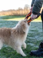 27341_Zergel_4,0x40cm_03_1600x1600