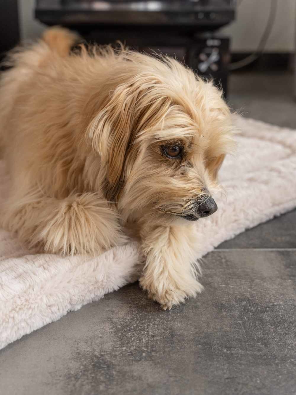 27402_Harmony_75x55_Creme_Mood-2