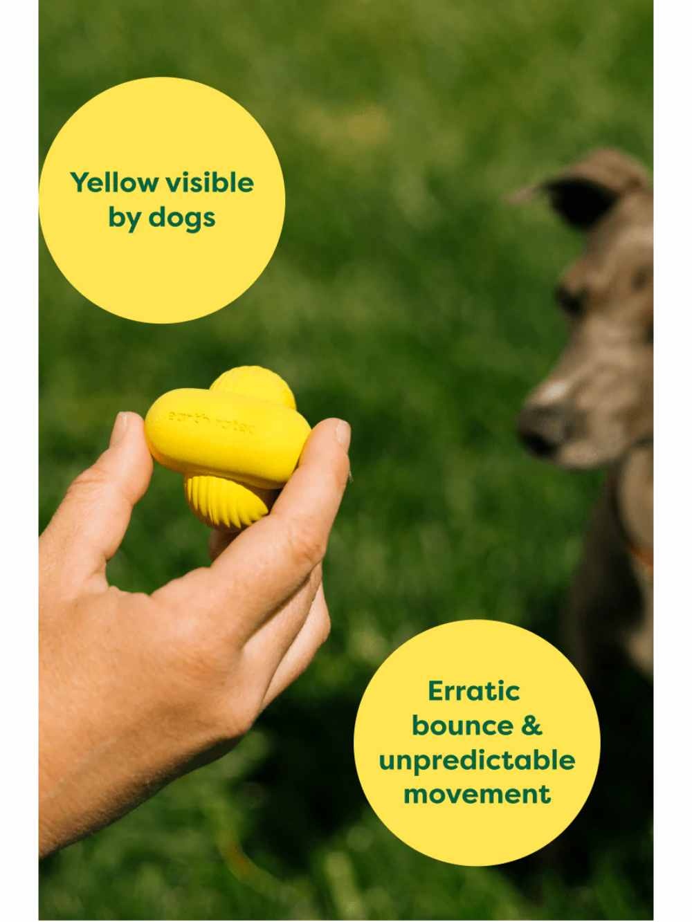 2.ER_Product-fetchToy-MdmSml-Benefits-241520