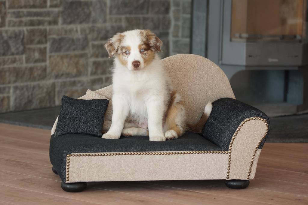 329e0c461e3e8606cc02ce454adf6_21923.001