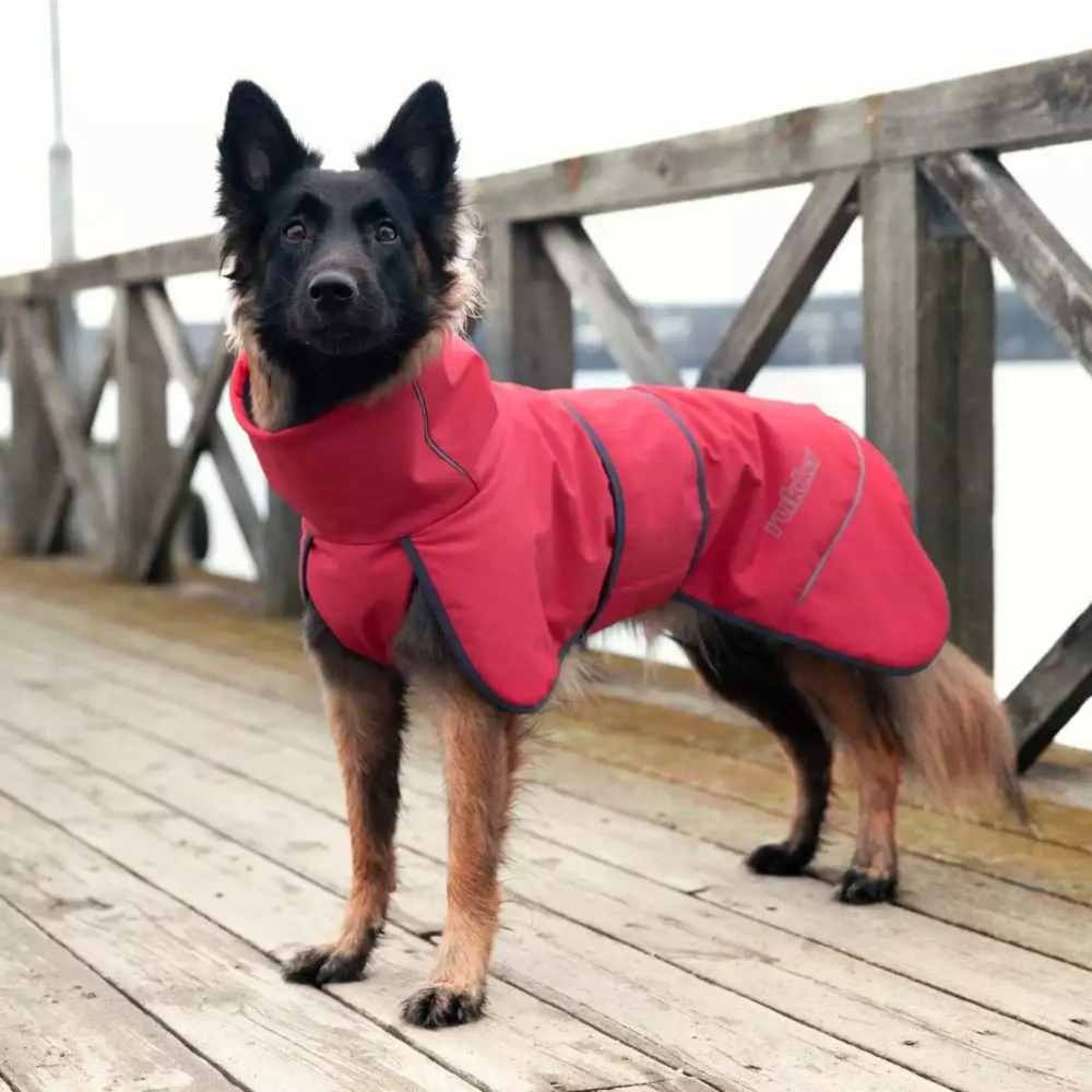 images 3rukka-pets-rukka-pets-windy-thermal-jacket-warme-s (2)