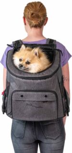 43-2025 JV Travel Backpack Grey-Black-Dog 1