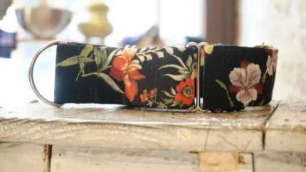 49635b61bbebea624926843c7617396ffd3644db1a3c51a8d9d8c794896dae7b