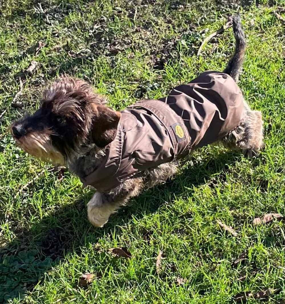 4bd9122b-6719-491e-8708-96dc5c7092b5