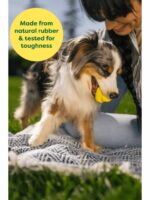 4.ER_Product-FetchToy-Benefit2_97f5d1a0-74b6-48b5-a584-60d2fd174ee0-585099