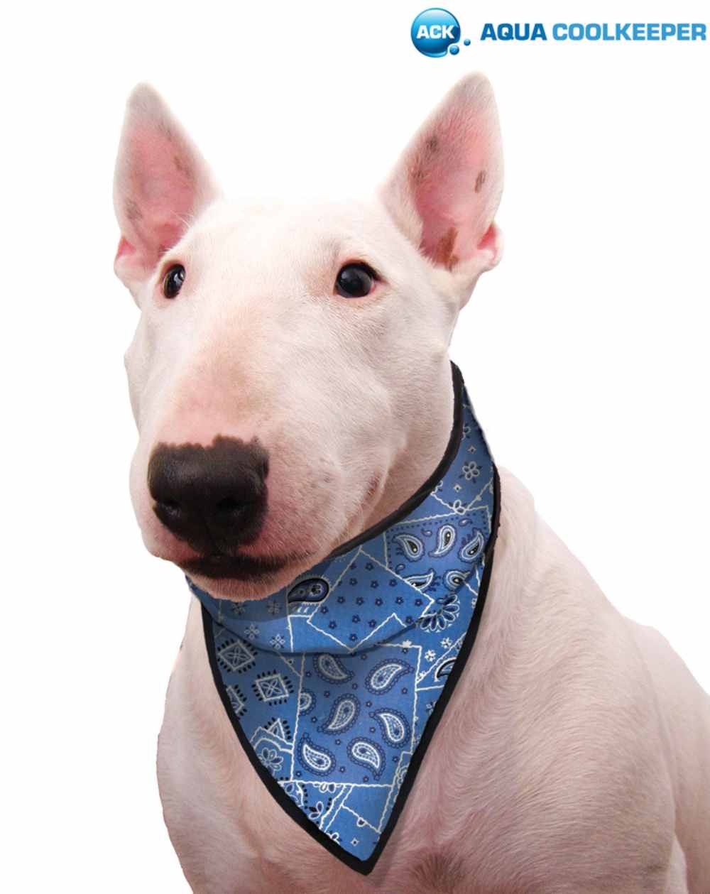 50aqpebabw_main_750px