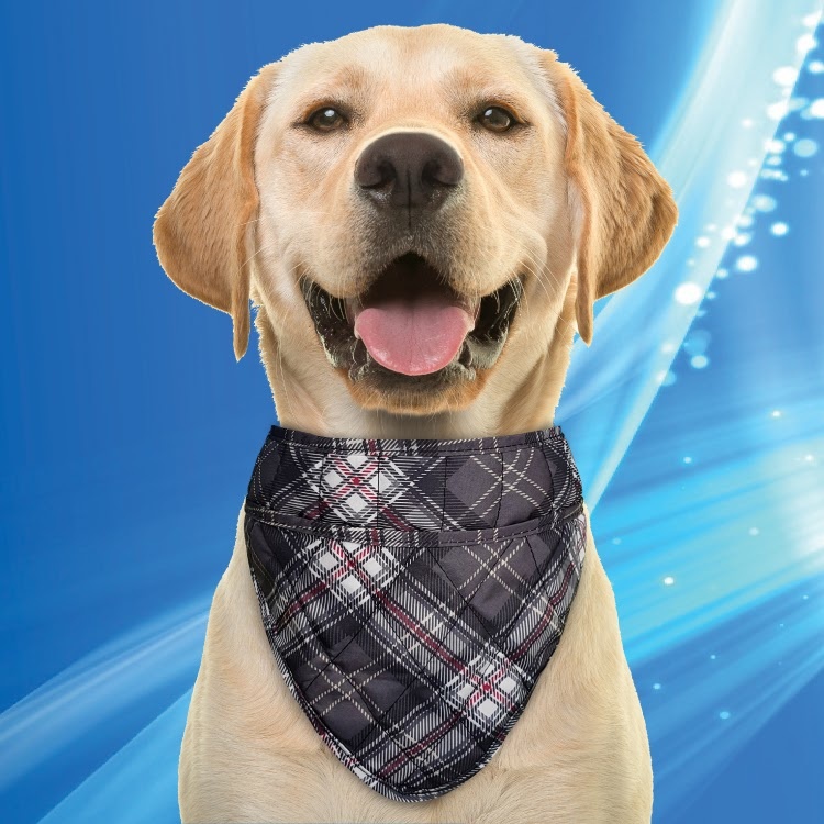 50AQPEBASG-S0750-COOLING-DOG-BANDANA-GREY 20190528-2219-34