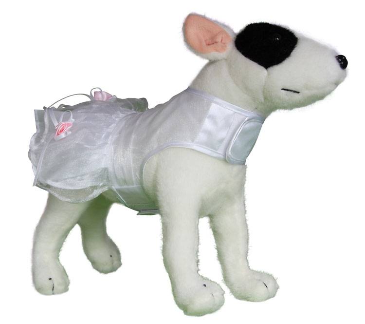 60wedrwpf_main_750px