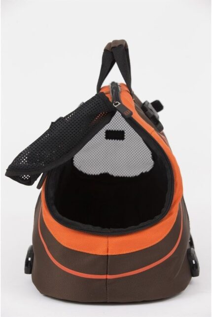 61L6h+FLtCL._AC_SL1000_