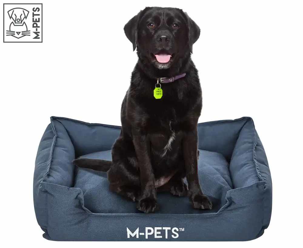 62e8be8057e47225416891_w1320h1080