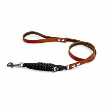 667bd25a5fb8e032d50743d9