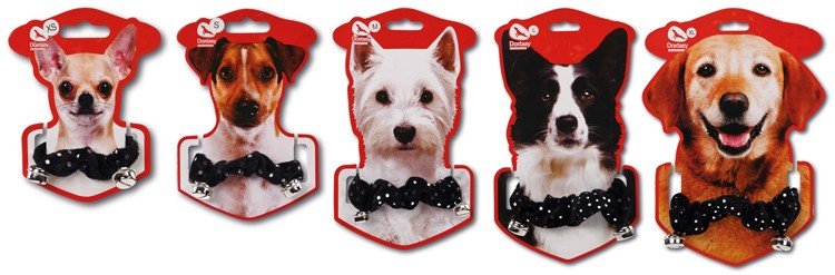 70becobl_group_01_750px