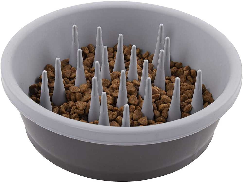 71BMfiZoyAL._AC_SL1500_