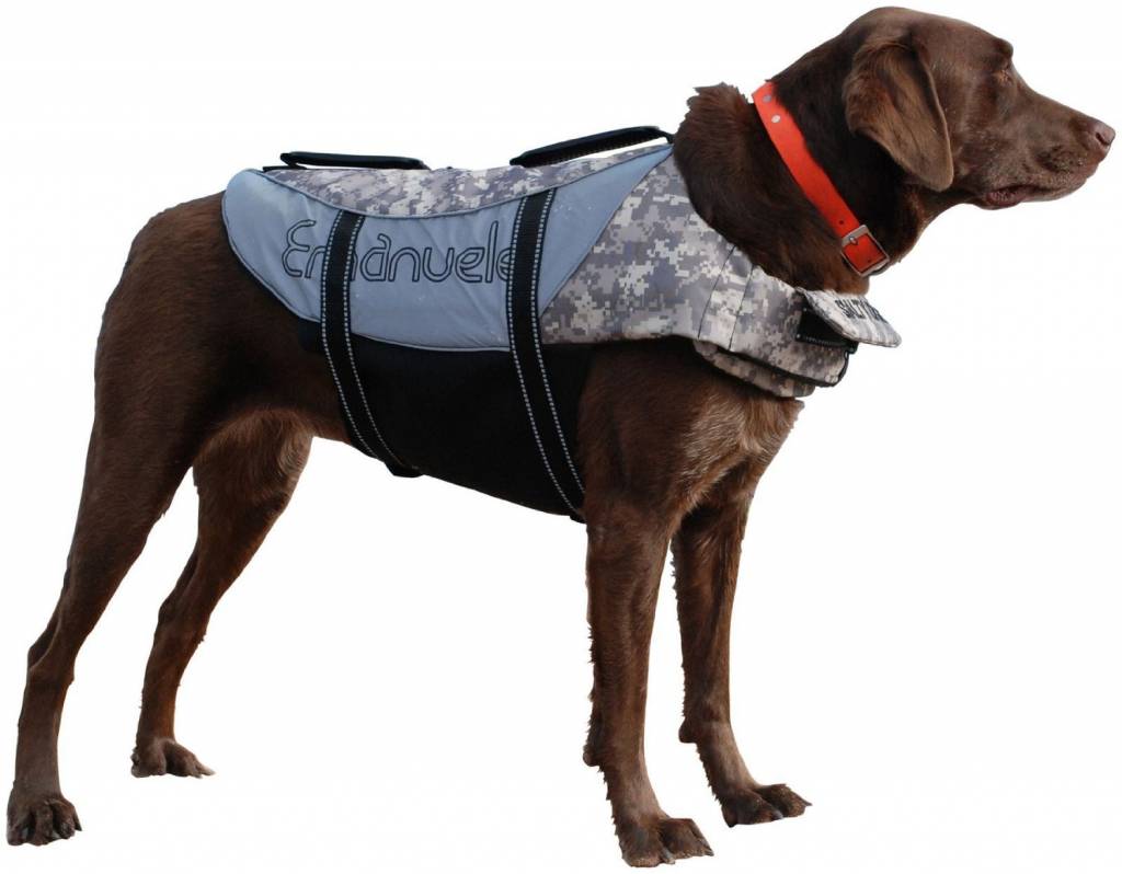 71Qv1RnNaoL._SL1500_