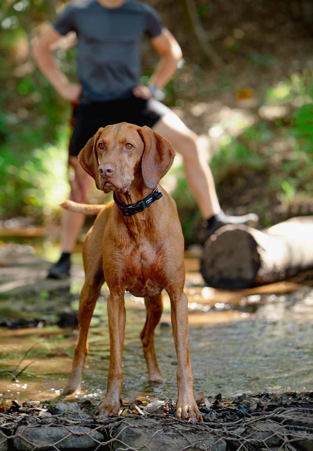 AirTech Classic Collar_Rock Red_Lifestyle_2