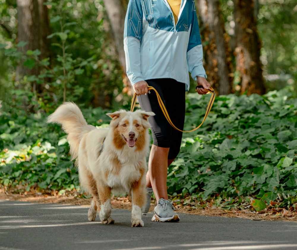 AirTech Classic Lead_Burnt Ochre_Lifestyle_3