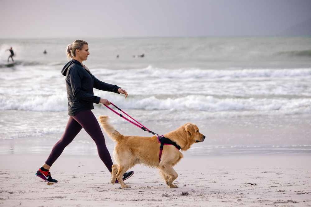 AirTech Multi Lead_Sunset Pink_Lifestyle_2