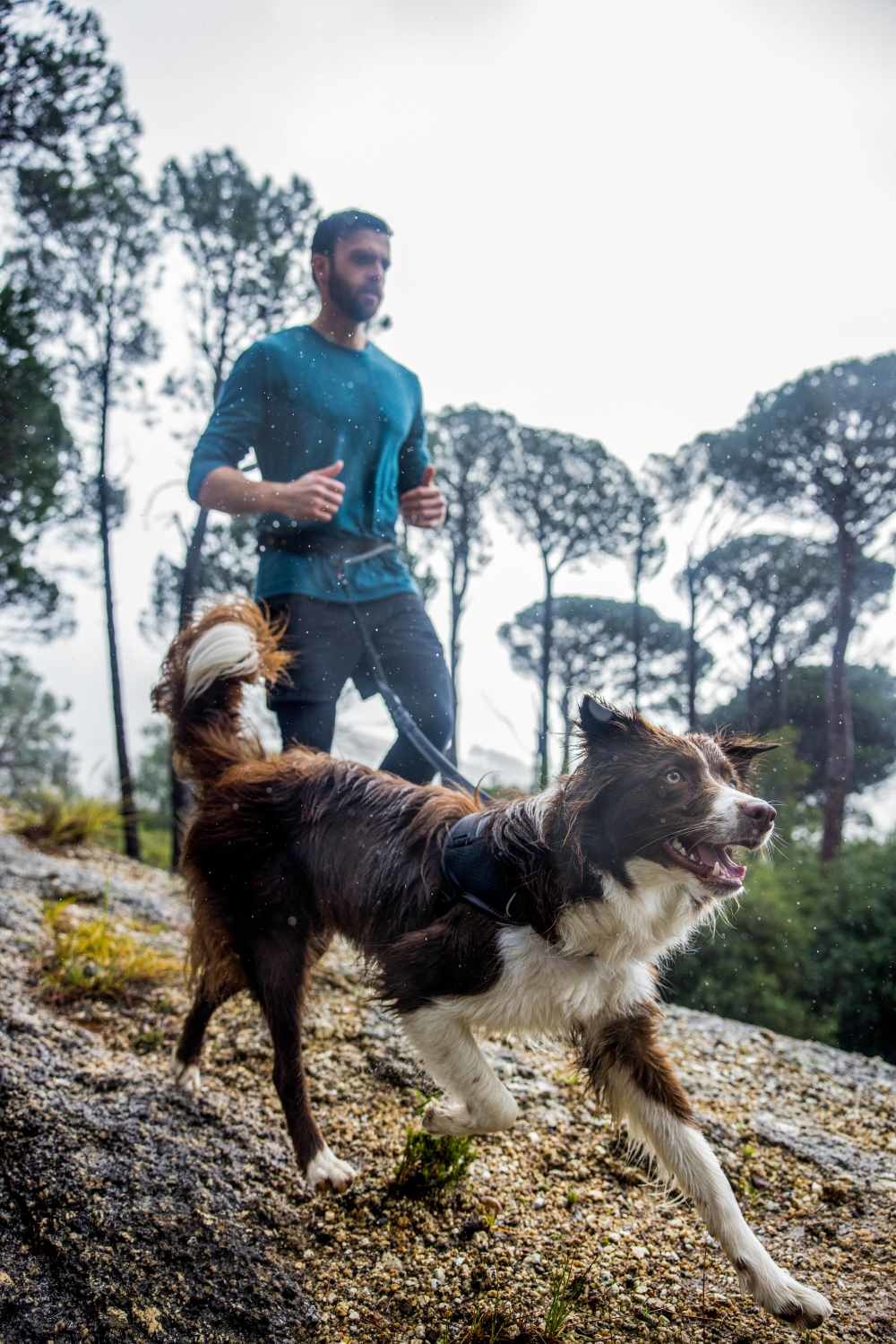 AirTech Sport Belt and Lead_Platinium Grey_Lifestyle_6