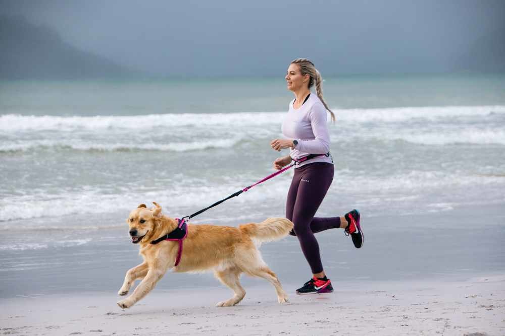 AirTech Sport Belt and Lead_Sunset Pink_Lifestyle_9