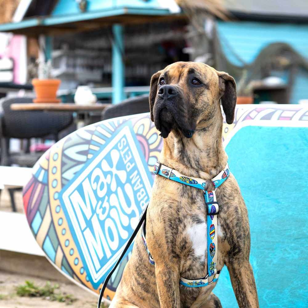 ALOHA_MOOD_harness-_1