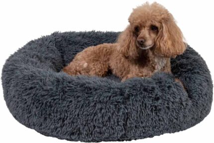 BUBBA1520 JV Bubble Dark Grey S-Dog-2